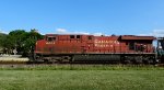 CP 8809